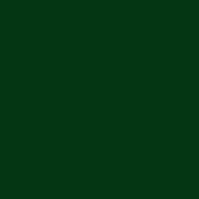 kolor farby Zielony mech MAT - RAL6005