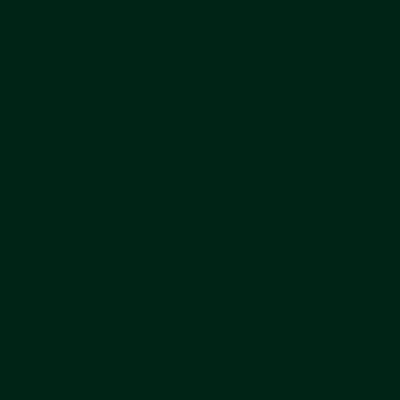 kolor farby RAL6009 - Zielony ciemny