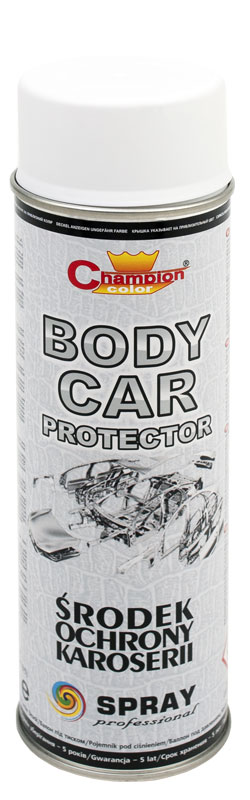 Body Car Protection